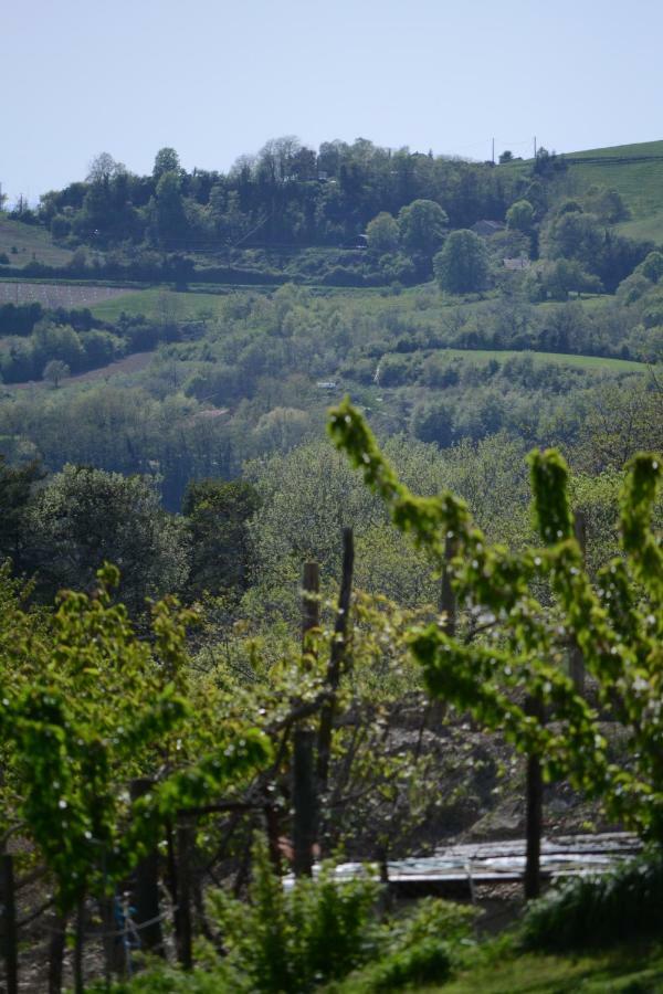 Gite Les Pins Montchenu 외부 사진